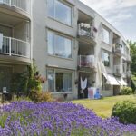 Dinsdag 11 augustus<br>Concert Vorsvliet ’s Gravenpolder